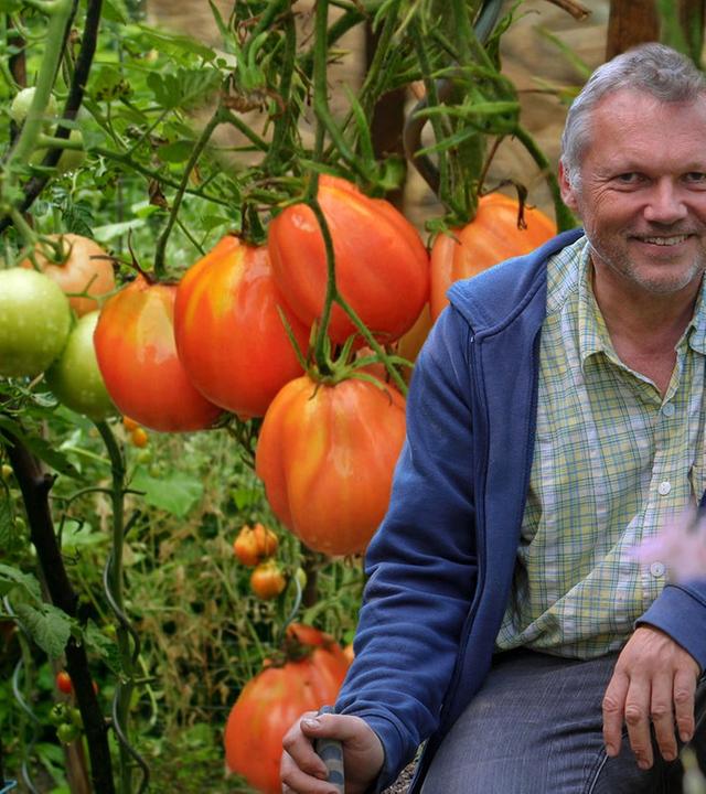 Bei Hobbygärtner Walter Krögner