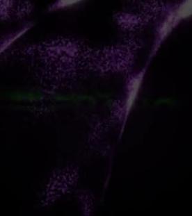 "Beirut" - Ibrahim Maalouf & hr-Bigband