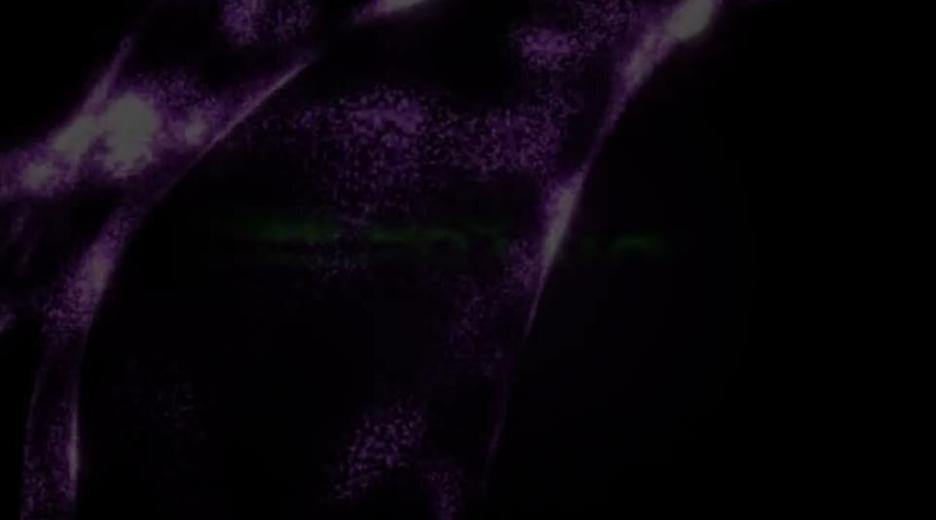 "Beirut" - Ibrahim Maalouf & hr-Bigband