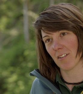 Bergwald unter Druck · In den bayerischen Alpen