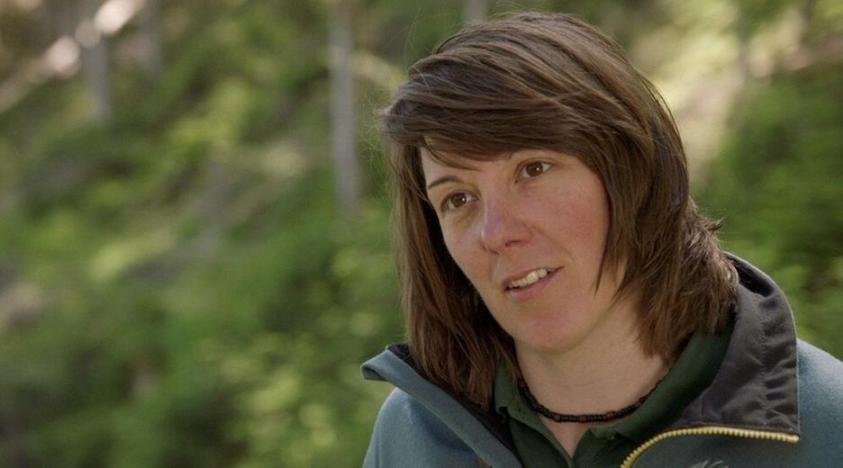 Bergwald unter Druck · In den bayerischen Alpen