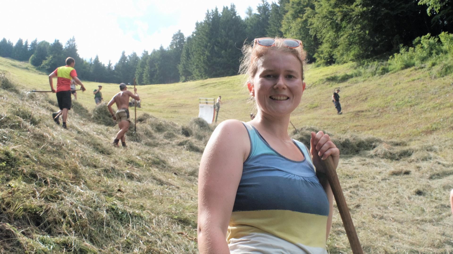 Bergwiesen · Vom Schwenden und Heuen