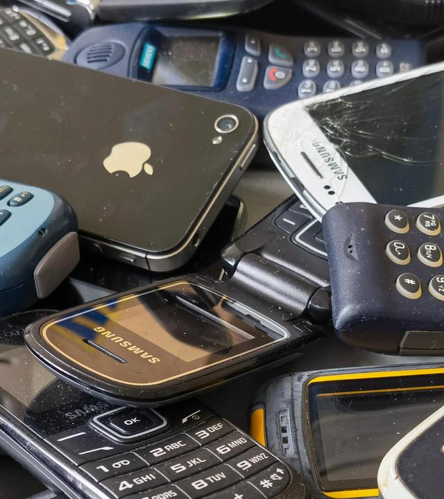 Biologisches Recyceln und die Entdeckung des Meeresbodens