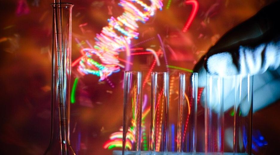 Blutzellen - Biomarker für die klinische Routine - Arsen - Forschen gegen schleichende Vergiftung