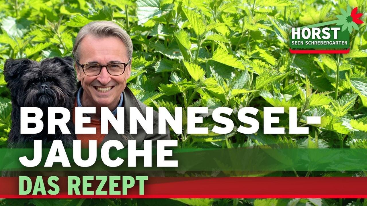 Brennnesseljauche - Bester Dünger für gesunde Pflanzen