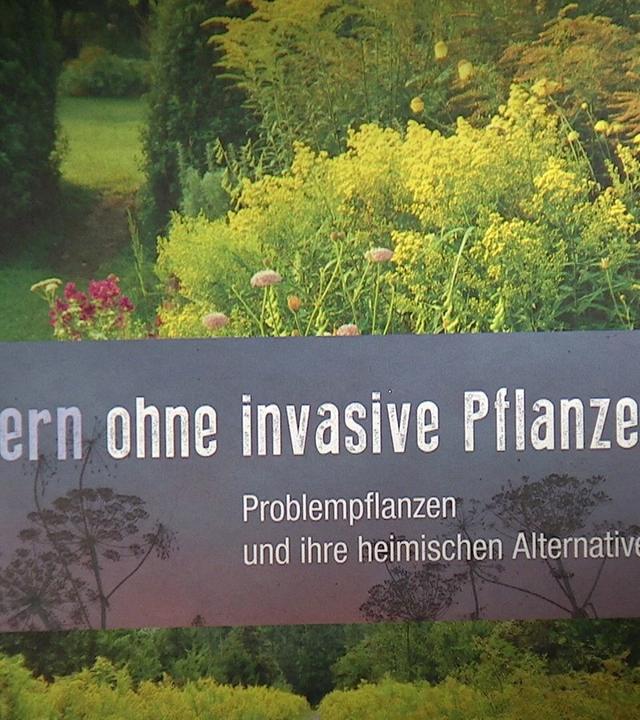 Buchtipp des Monats: Heimische Pflanzen statt invasiver Arten