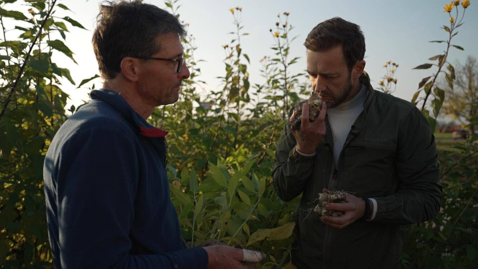 Buntes Wintergemüse: Filderkraut, Fermentiertes und vielseitige Gerichte