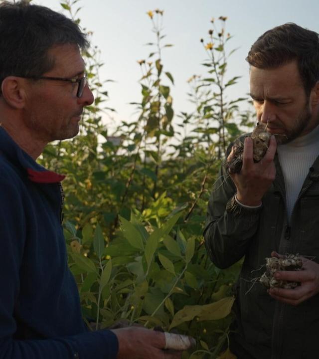Buntes Wintergemüse: Filderkraut, Fermentiertes und vielseitige Gerichte