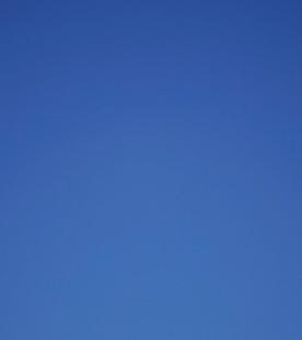 Bye bye Biden: Was sagen Sie zu seinem Rückzug?