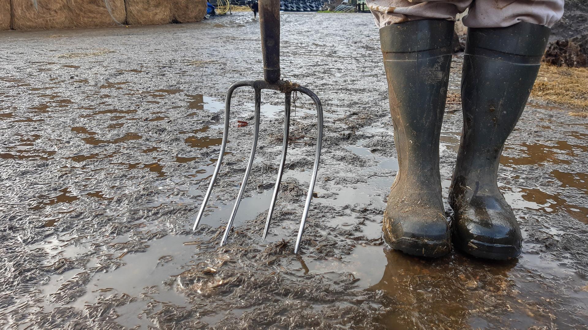 Chefin in Gummistiefeln - Vom harten Job als Landwirtin