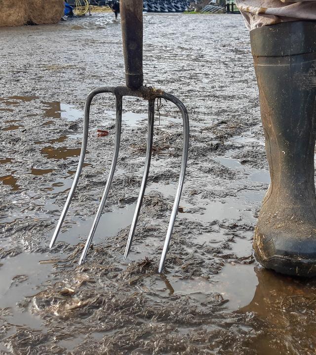 Chefin in Gummistiefeln - Vom harten Job als Landwirtin