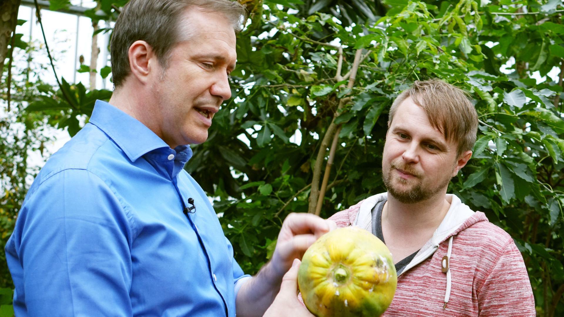 Chiemsee-Whisky, Rind & Tropenfrucht-Salat