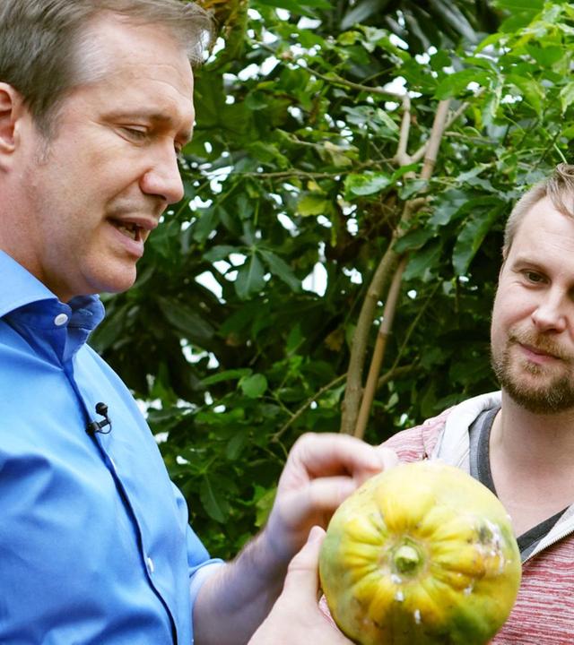 Chiemsee-Whisky, Rind & Tropenfrucht-Salat