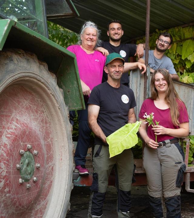 Damals bei der Ernte