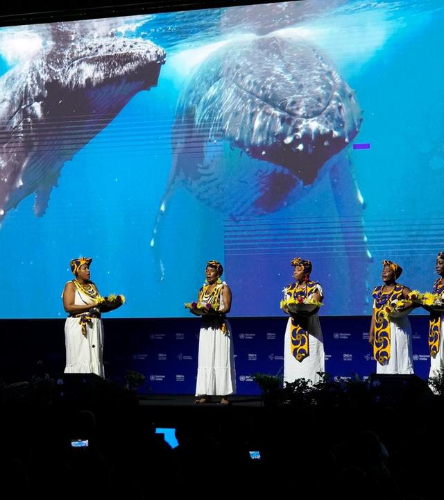 Das große Massensterben: Nehmen wir den Artenschutz nicht ernst genug?