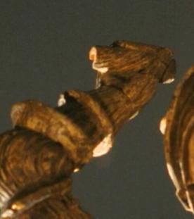 Das Nationalmuseum erforscht Raubkunst