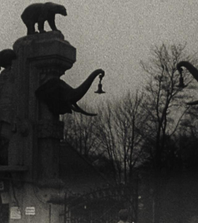 Den Tieren gehört mein Herz: Hagenbecks Tierpark im Winter