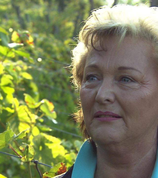 Der Baierwein · Vom Volksgetränk zur Rarität