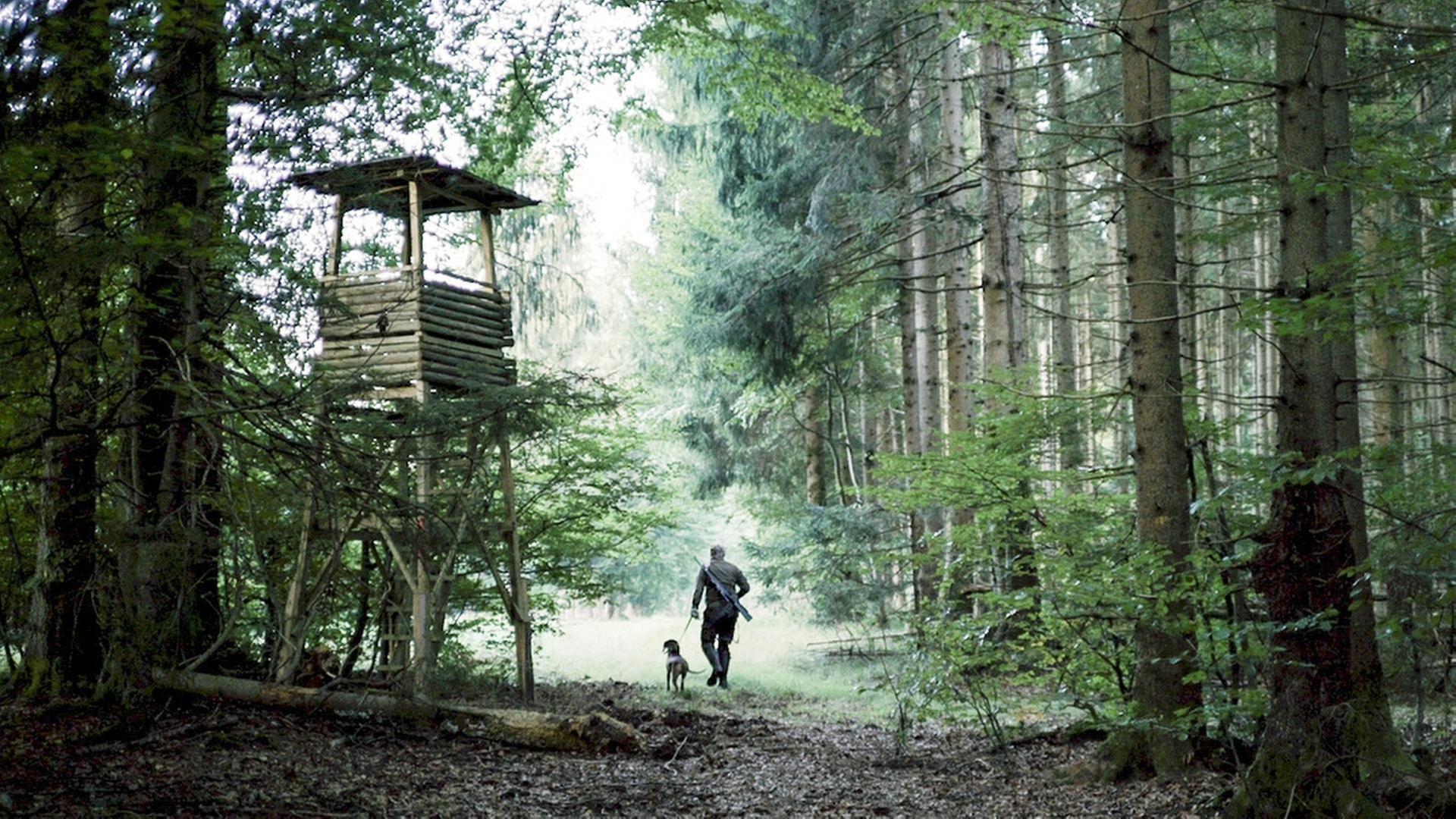 Der Forstenrieder Park · Vom Sommer zum Herbst