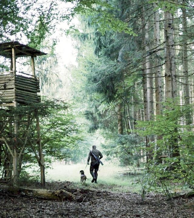 Der Forstenrieder Park · Vom Sommer zum Herbst