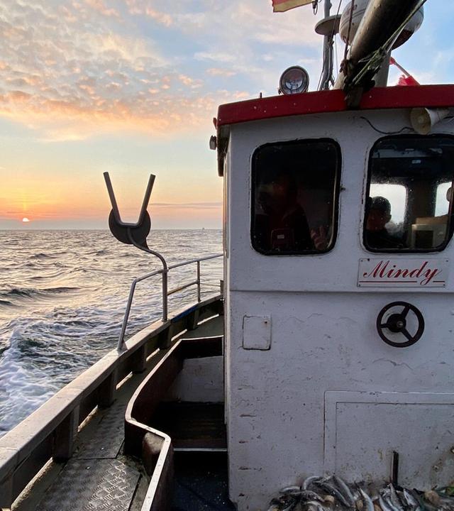 Der letzte Fang? Ostseefischer vor dem Aus