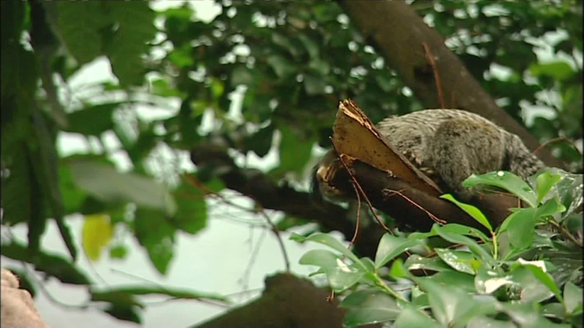 Der Letzte macht das Licht aus!