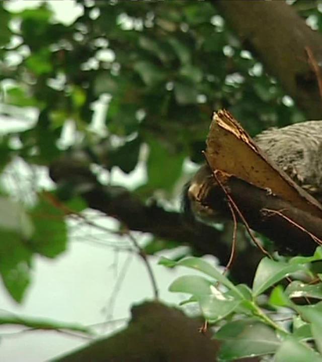 Der Letzte macht das Licht aus!