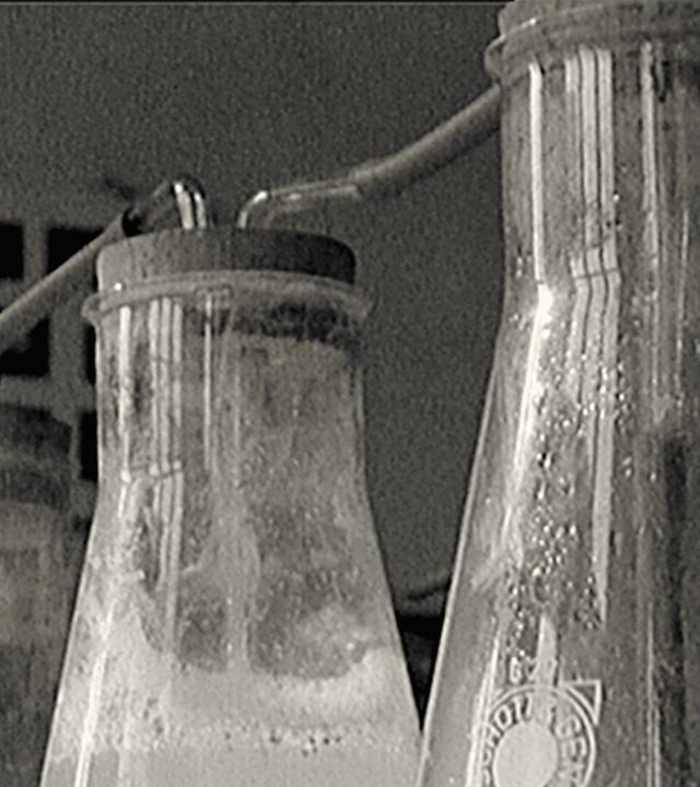 Der technische Fortschritt macht es möglich: Ein Labor in Ostwestfalen stellt die "Ursuppe" nach