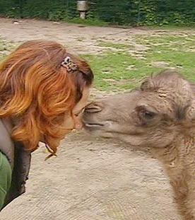 Der Trampeltier-Clan -