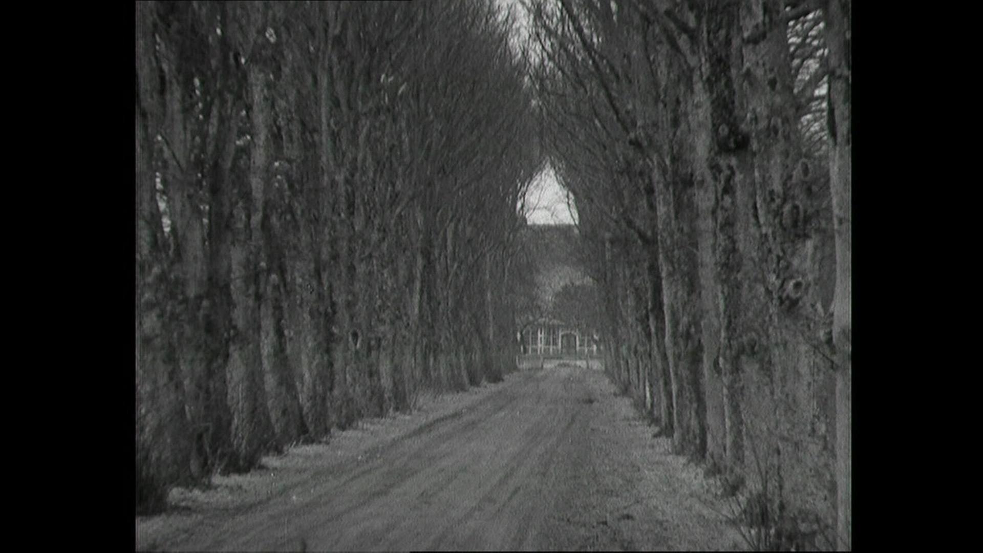 Der Weg nach Lüdingworth - eine Bildmeditation