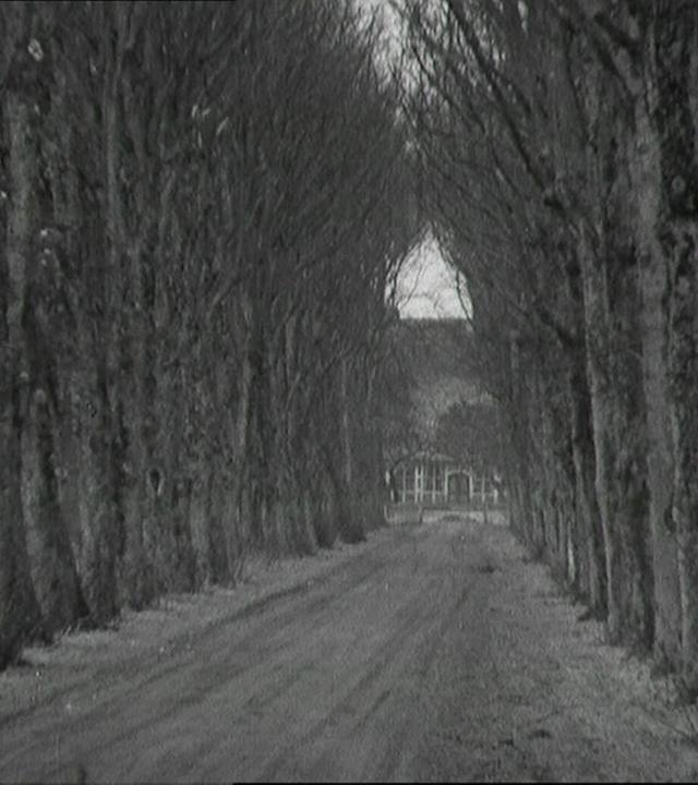 Der Weg nach Lüdingworth - eine Bildmeditation