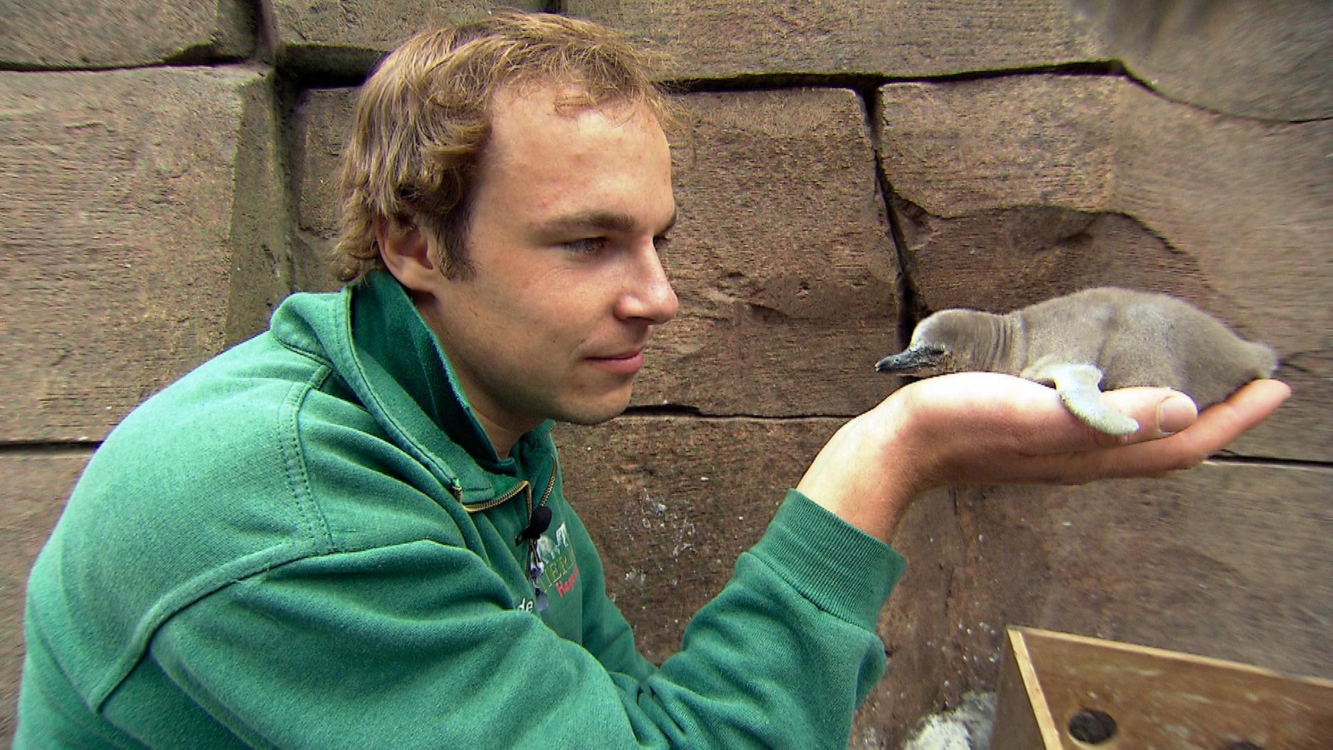 Die Ankunft der Actionzwerge