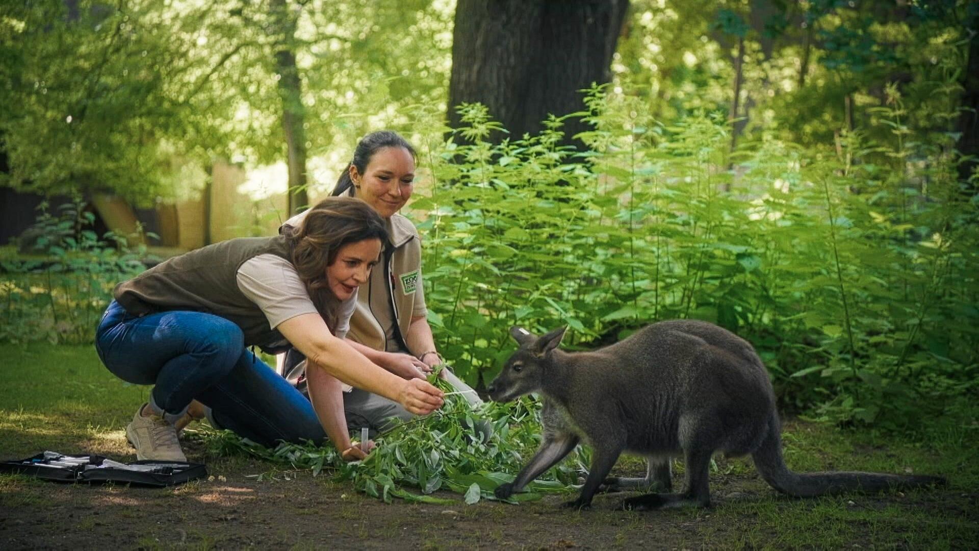 Die bittere Wahrheit