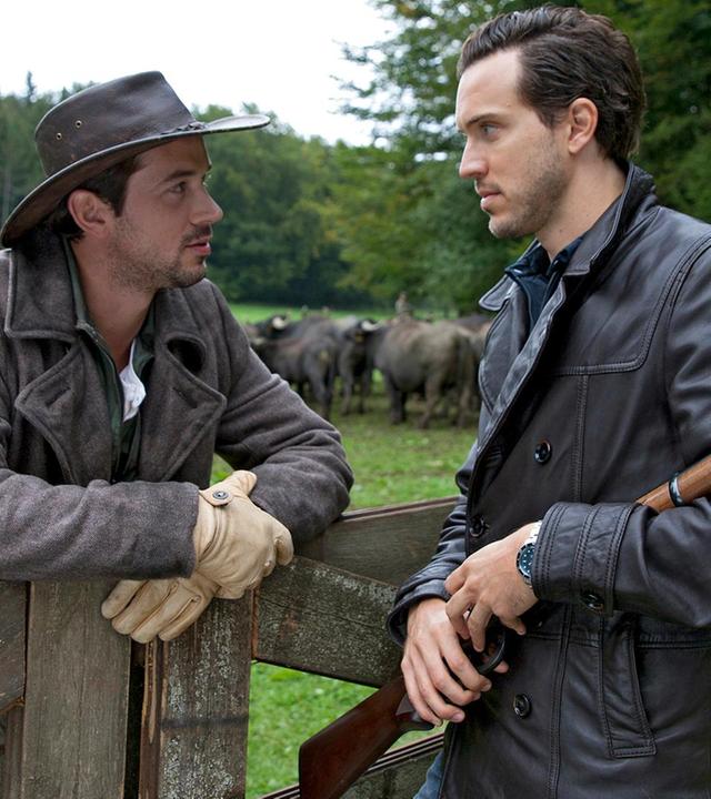 Die Büffel sind los!