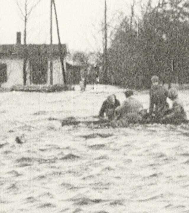 Die große Flut - Ein Jahr danach