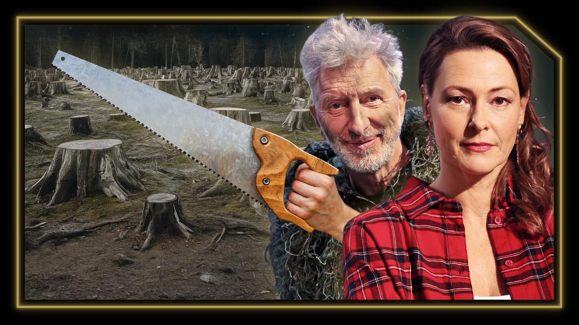 Die Holz-Lobby: Volle Kassen, tote Wälder