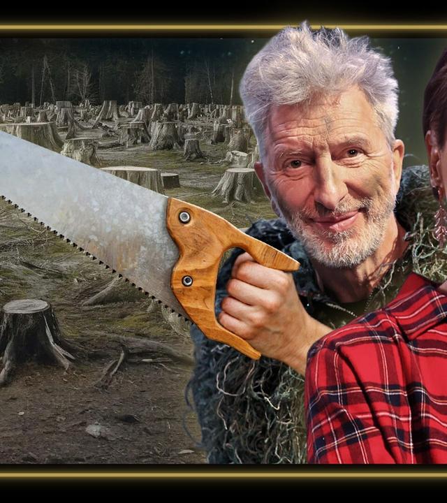 Die Holz-Lobby: Volle Kassen, tote Wälder