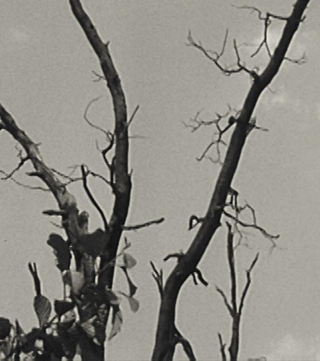 Die Industrie bestimmt das Landschaftsbild des Ruhrgebiets