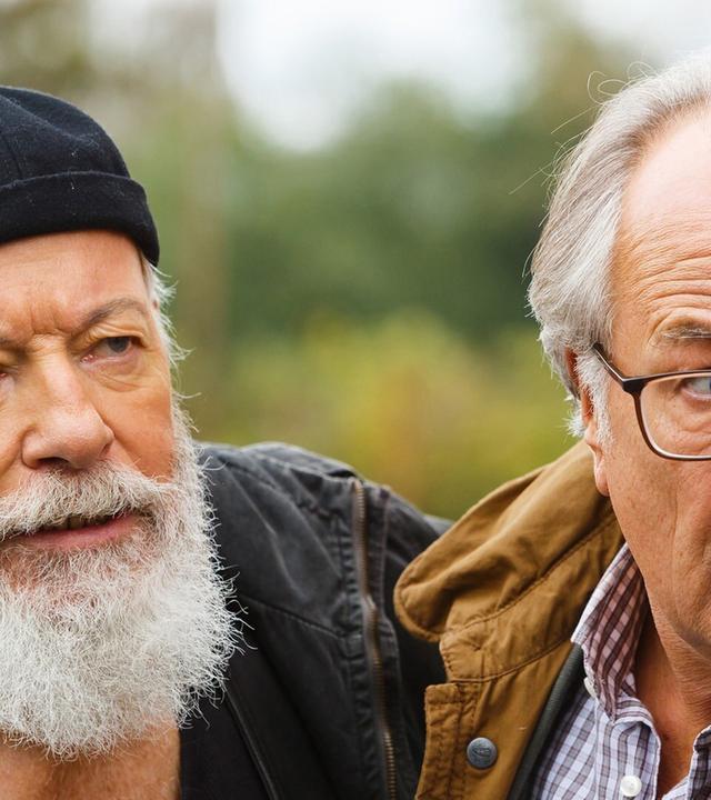 Die italienische Angelegenheit