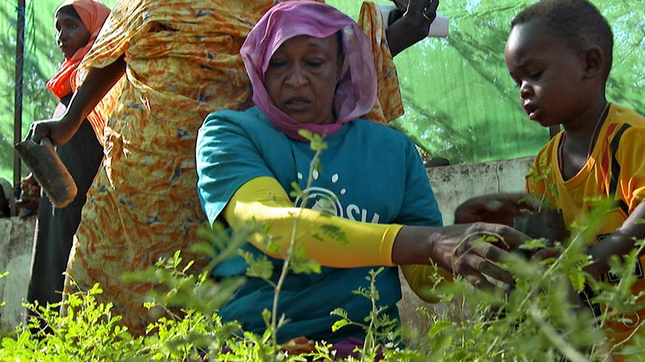 Die Klimaretter - haben wir noch eine Chance?