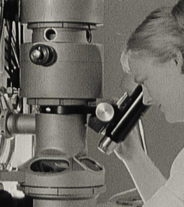 Die Landwirtschaft der Zukunft