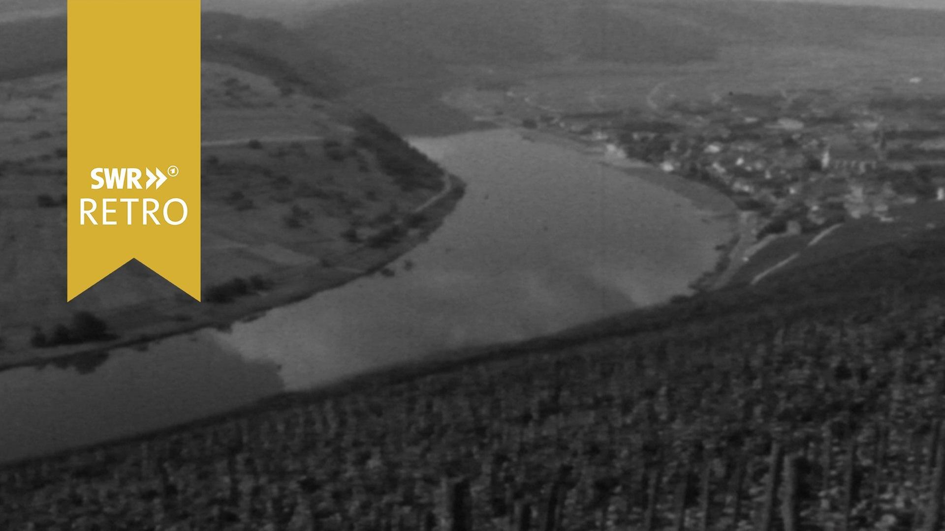 Die Mosel - Eine europäische Wasserstraße