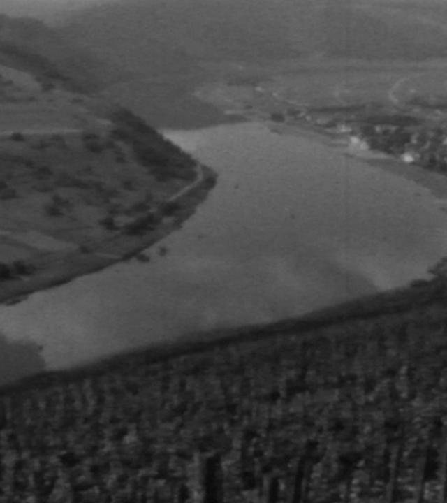 Die Mosel - Eine europäische Wasserstraße