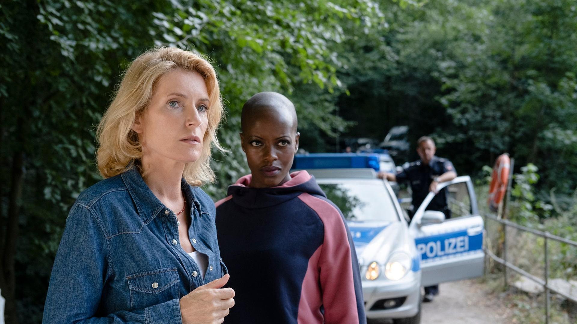 Die Rache an der Welt