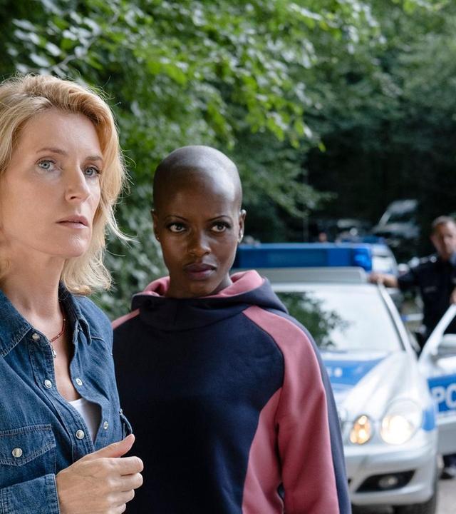 Die Rache an der Welt