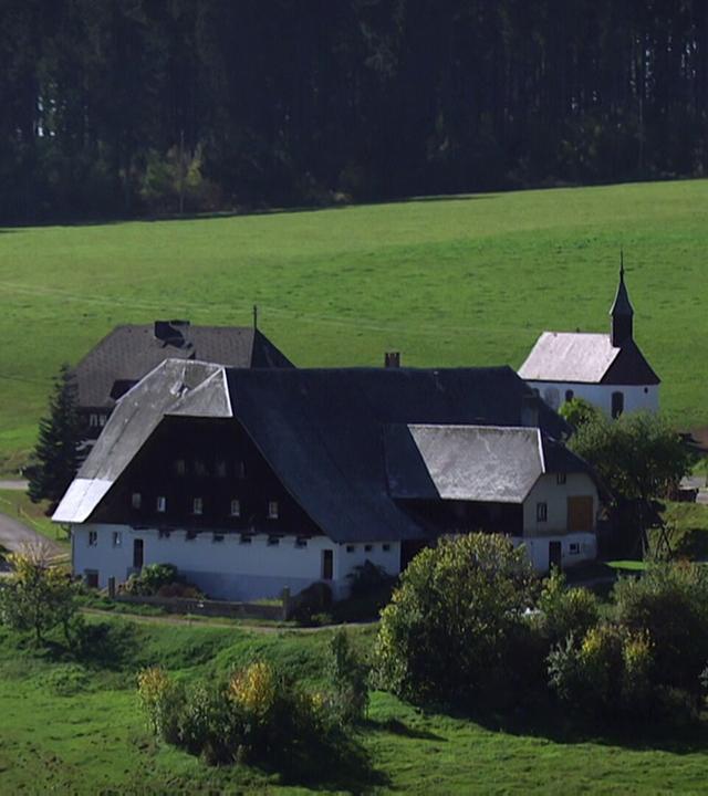 Die Schwarzwaldbauern · Der Schwarzwald