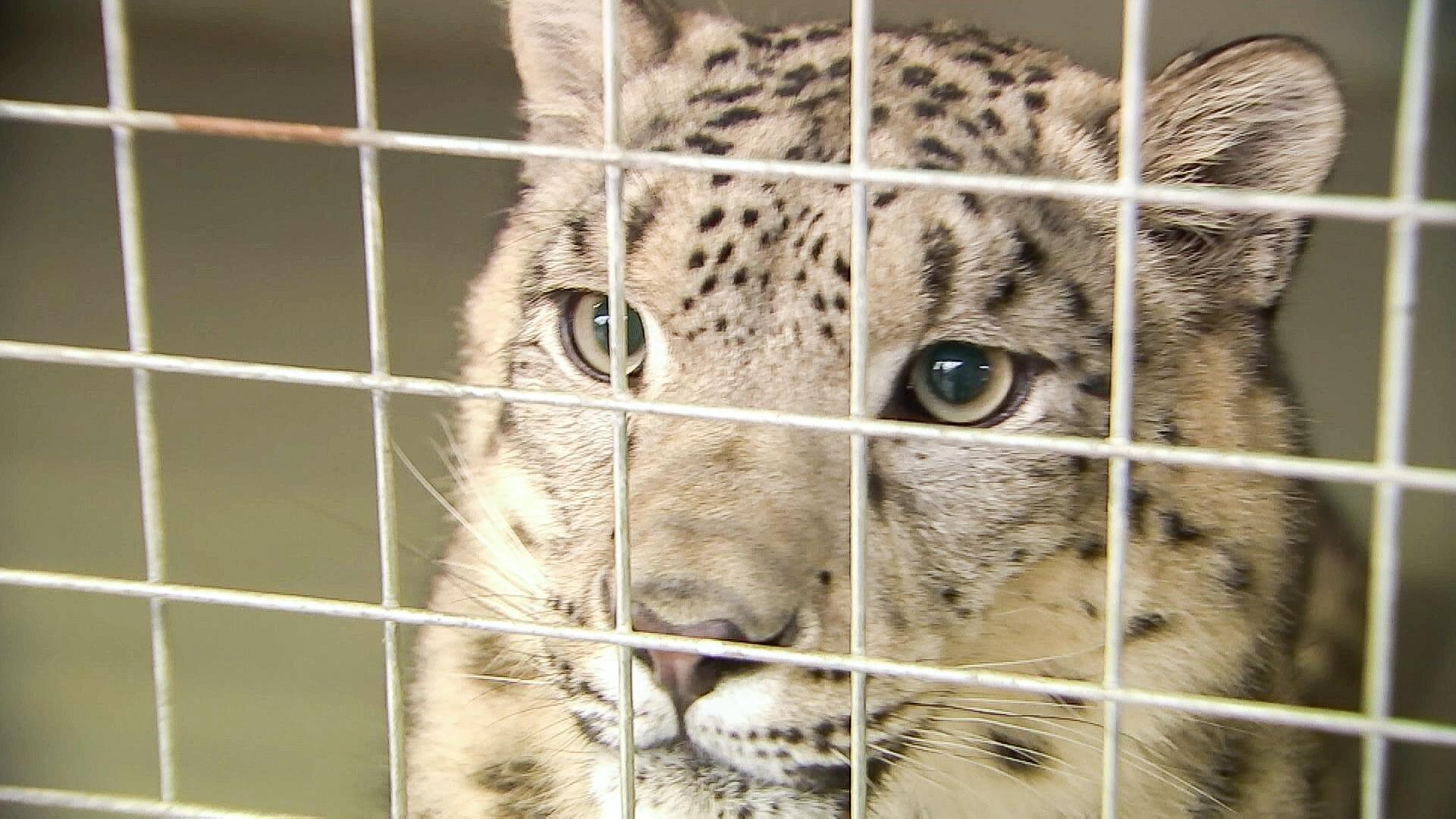 Die Welt da draußen