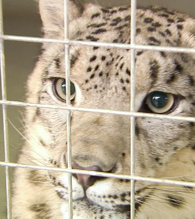 Die Welt da draußen