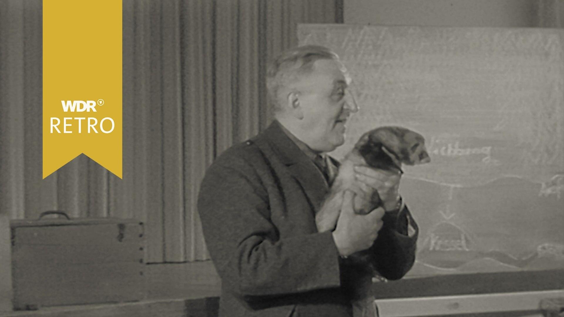 Die Wildnis im Klassenzimmer