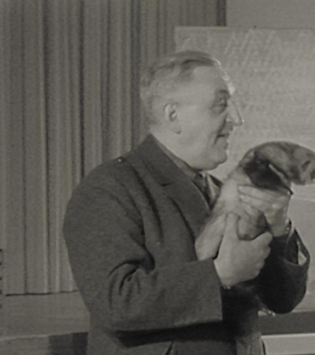 Die Wildnis im Klassenzimmer